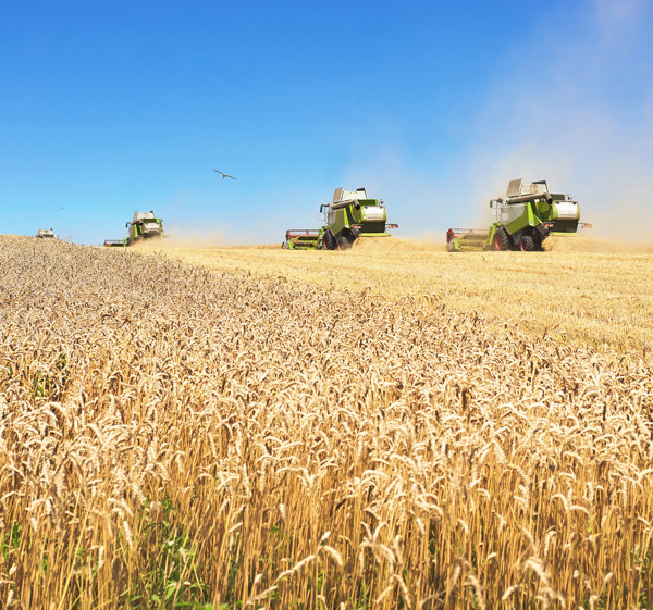 [Edit] Agriculture Equipment.jpg