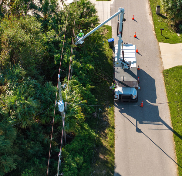 [Edit] Utility Vehicles.jpg